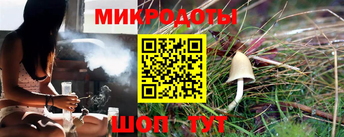 Реж  Псилоцибиновые грибы MAGIC MUSHROOMS  Вход с VPN 