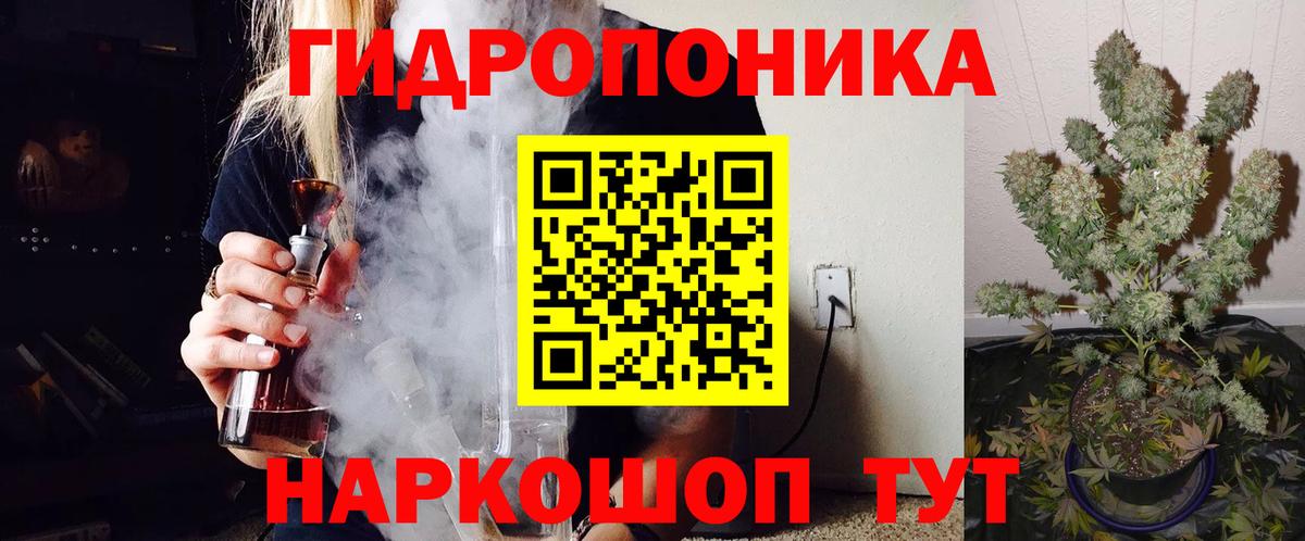 Бошки Шишки план  Конопля семена  Реж  МАРИХУАНА сатива  Конопля Ganja  Вход с VPN 